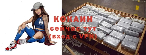 шишки Каменногорск