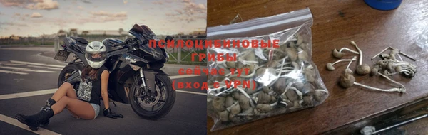скорость Каменка