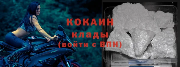 скорость Каменка