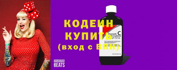 скорость Каменка