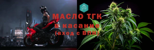скорость Каменка