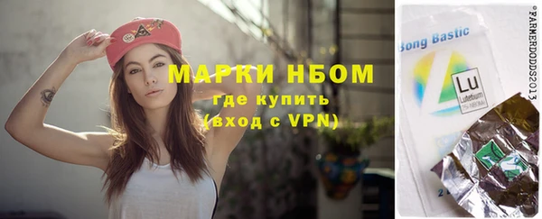 шишки Каменногорск