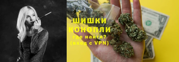 шишки Каменногорск