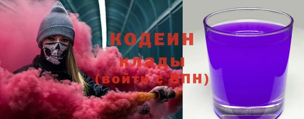 шишки Каменногорск