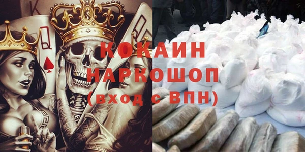 шишки Каменногорск