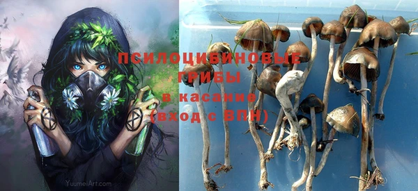шишки Каменногорск