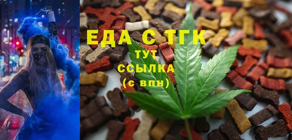 скорость Каменка