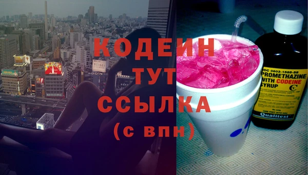 скорость Каменка