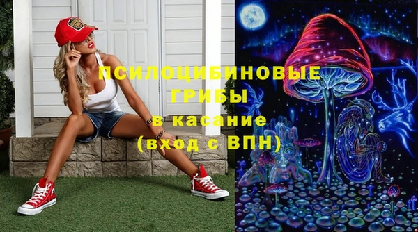 таблы Бикин